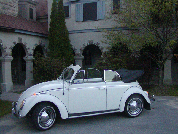 65 VW Beetle #3