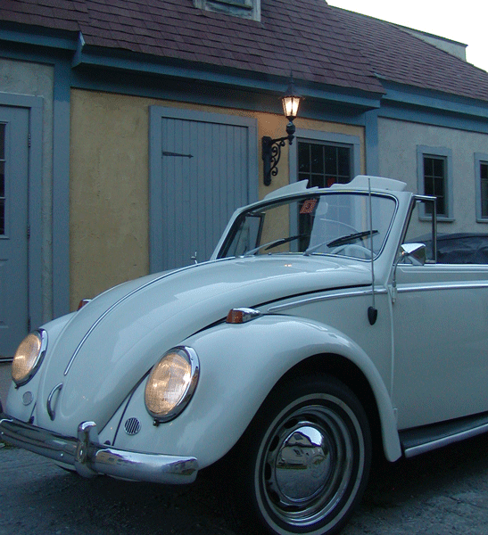 65 VW Beetle #6