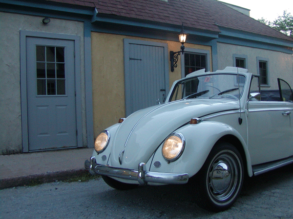 65 VW Beetle #7
