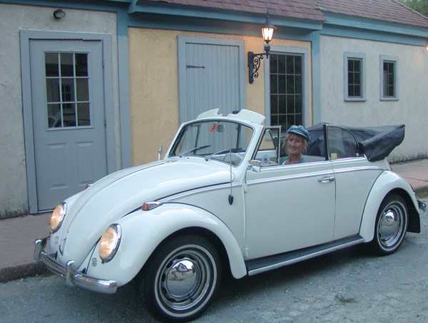 65 VW Beetle #8