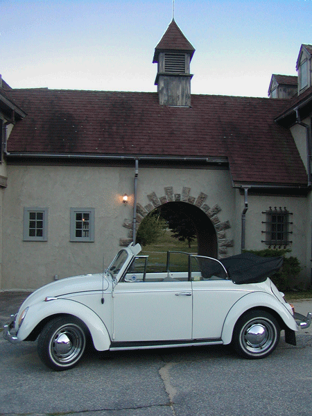 65 VW Beetle #9