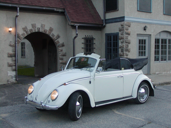 65 VW Beetle #1