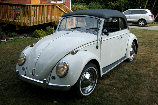 65 VW Beetle #10