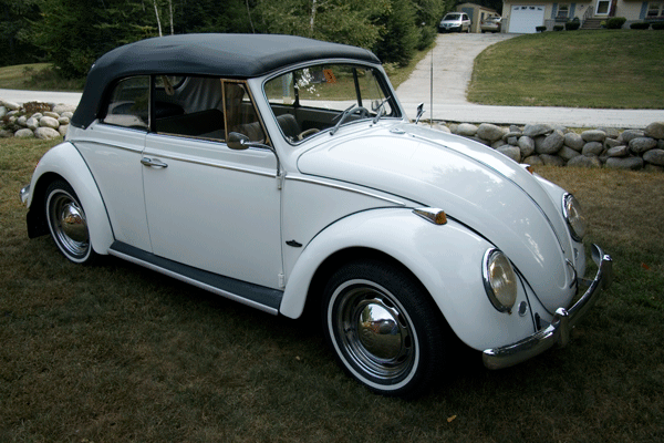 65 VW Beetle #11