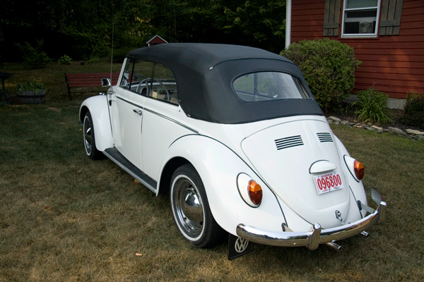 65 VW Beetle #12