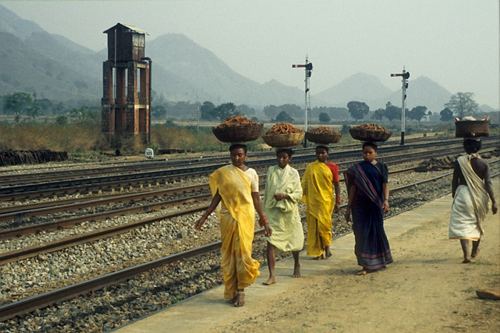 Orissa - India