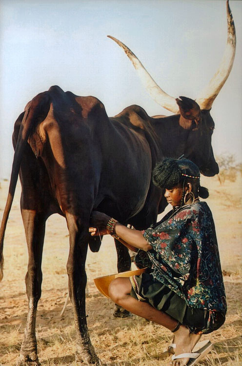 Niger