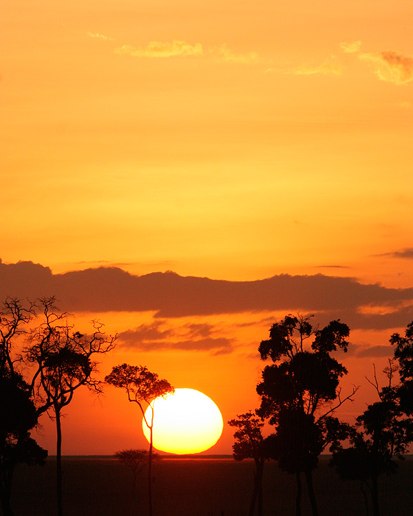 Sunrise in Africa.    Life is good.