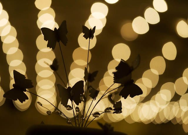 Butterfly Bokeh