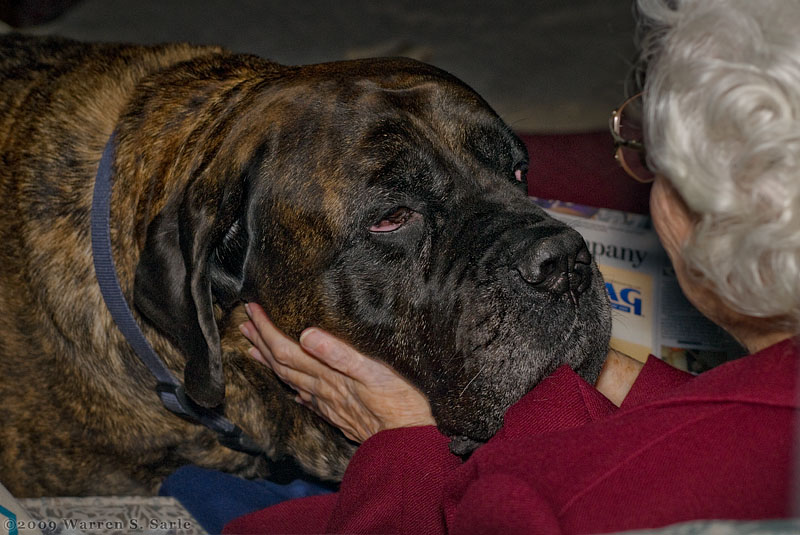 Two Old Ladies by Warren Sarle