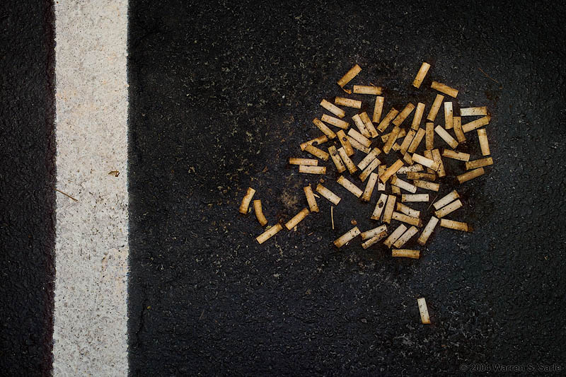 Irresponsibility by Warren Sarle