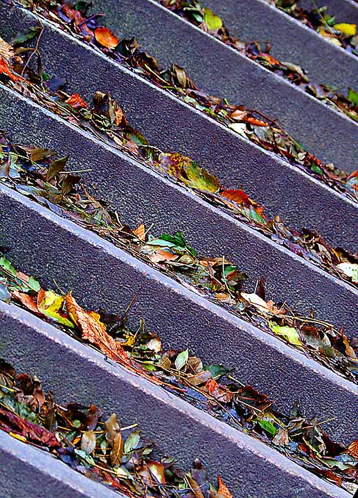 Steps by MCsaba