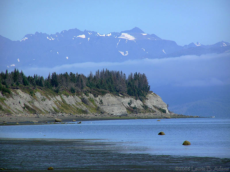 Beach by Laurie B. Adams