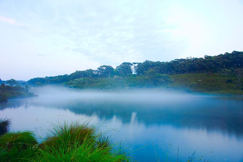 3rd: Fog Bank