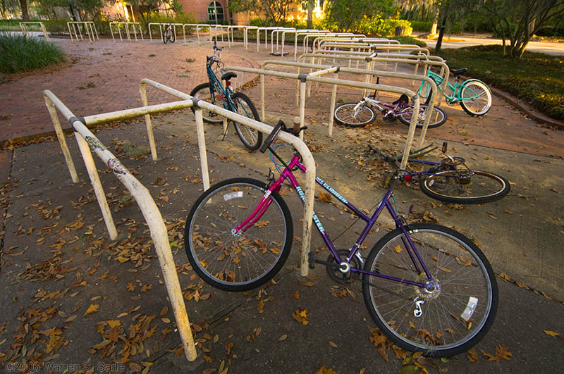 Holidays at the University by Warren Sarle