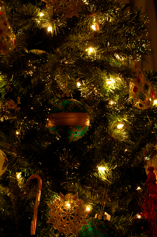 Gotta Have a Tree