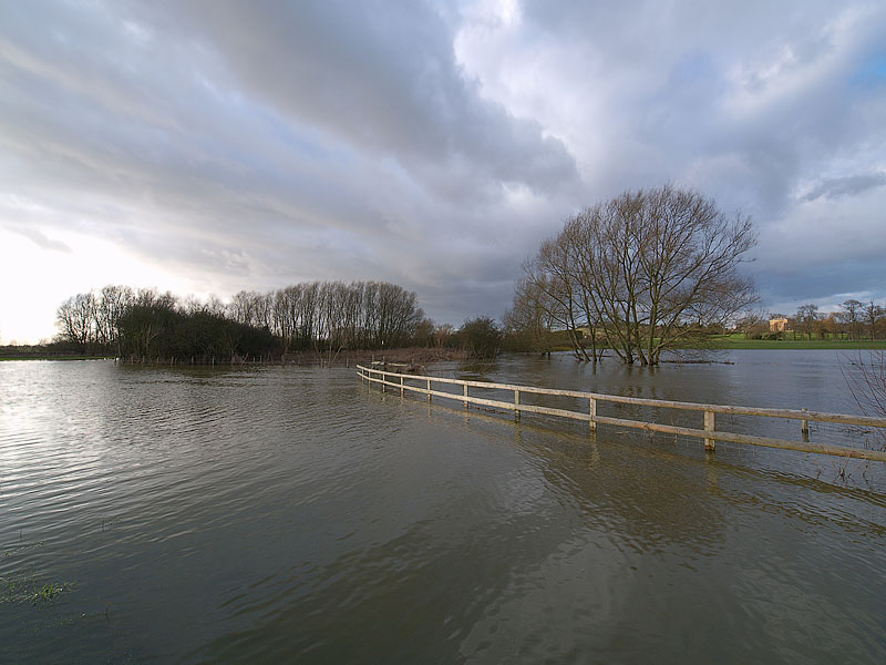 Far too much water by Bruce Clarke