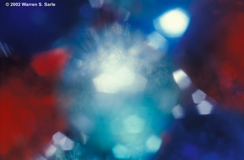 Marbles by Warren Sarle