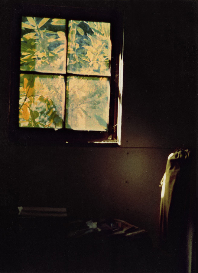 garagewindowlight by Kim Borchardt