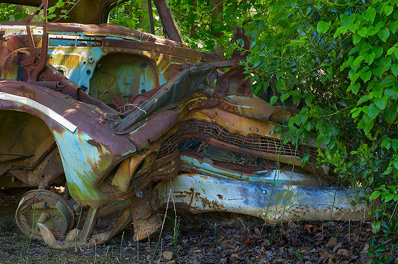 What Happened to the Brakes?! by Warren Sarle