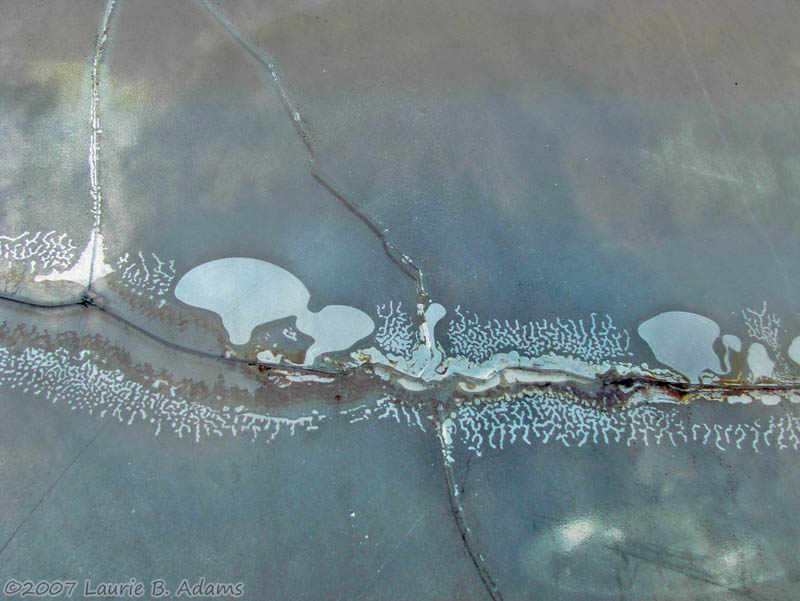 Delaminated Window  by Laurie B. Adams