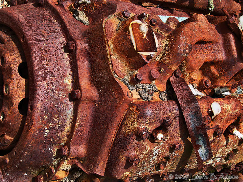 Engine - by Laurie Adams