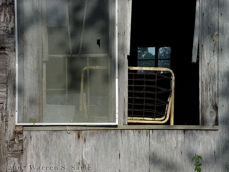 Shapes by Warren Sarle