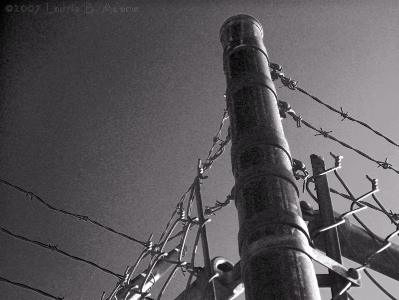 Industrial by Laurie Adams
