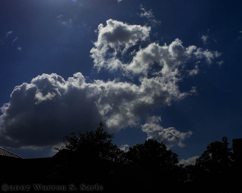 Not an Elephant by Warren Sarle