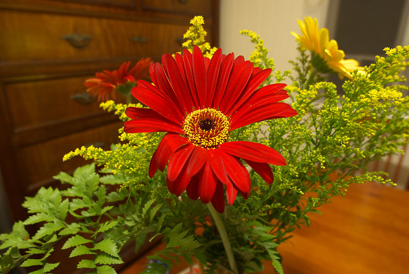 Sigma 14mm F2.8 EX