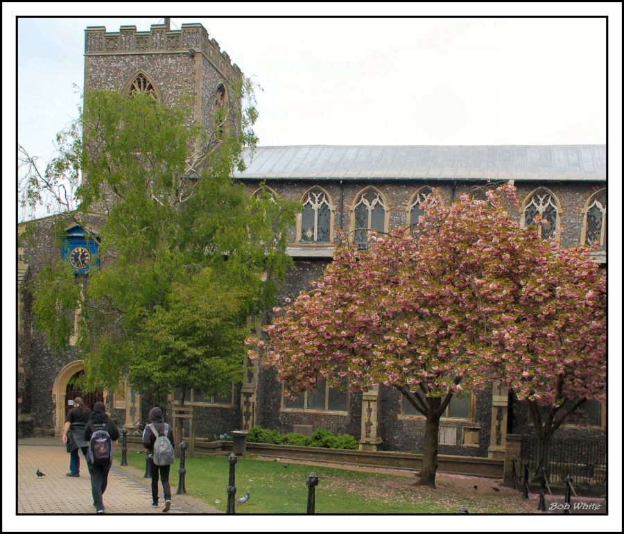 St Gregorys