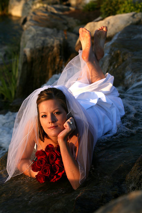 Trash the Dress