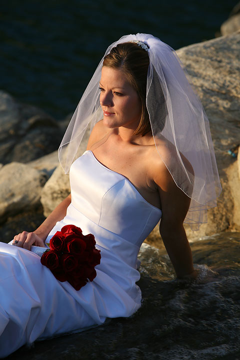 Trash the Dress