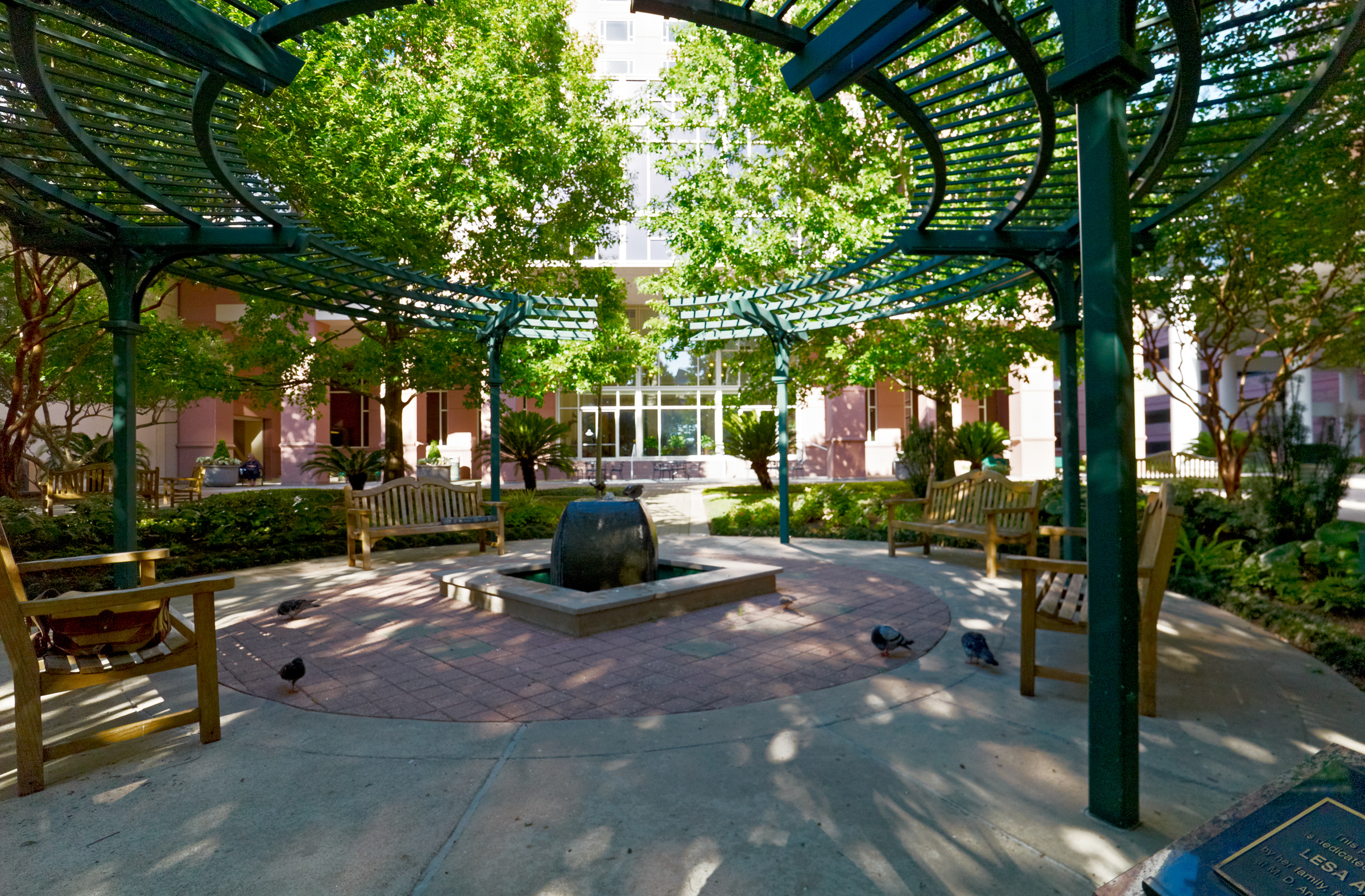 Rotary House pergola