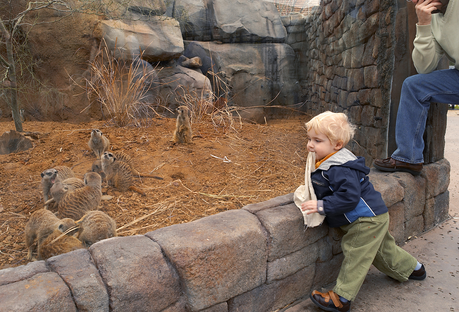 Phil at Zoo 02