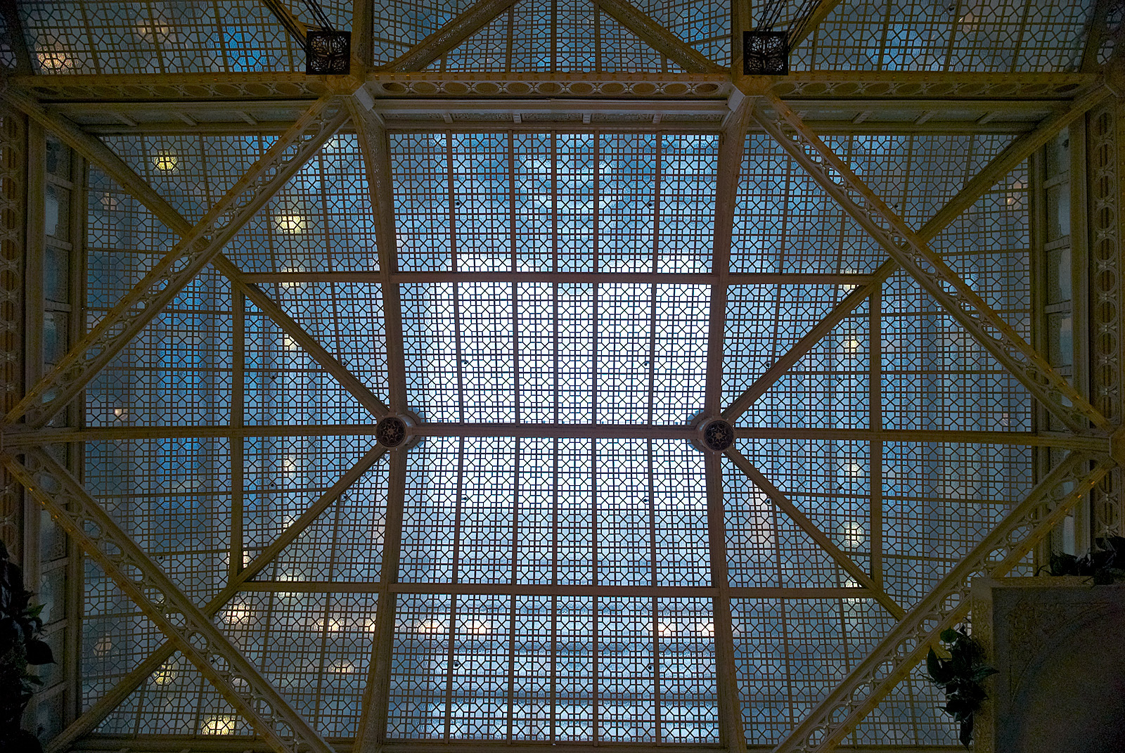 Rookery 05
