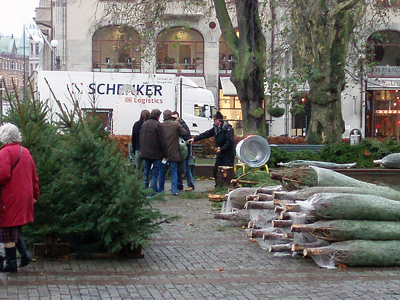 Christmas for sale