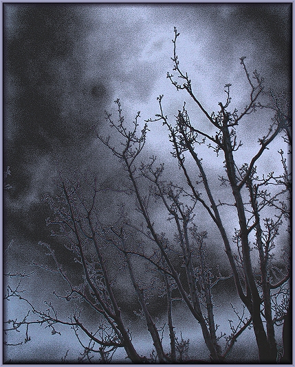 Ghosts in the Night