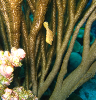 IMG_3941.JPG