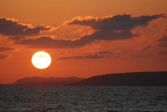 DSC_0548.JPG