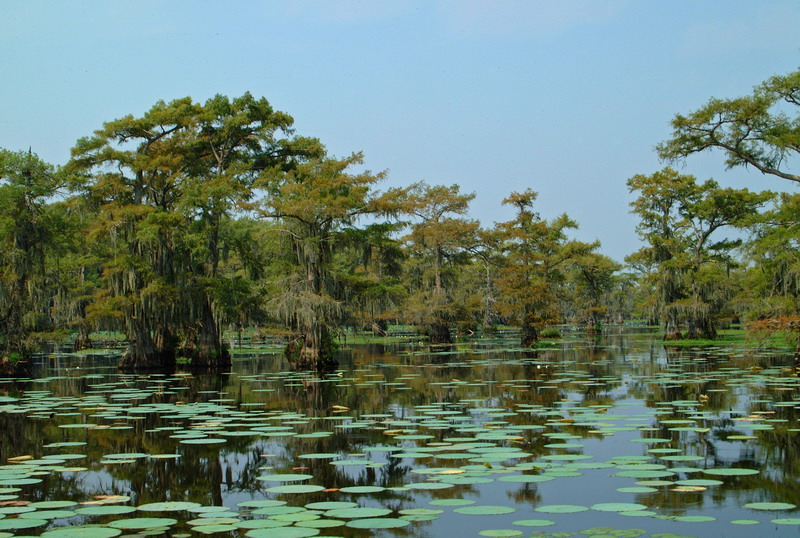 Lake Waterways