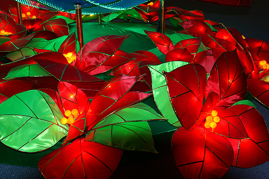 Silken Poinsettias