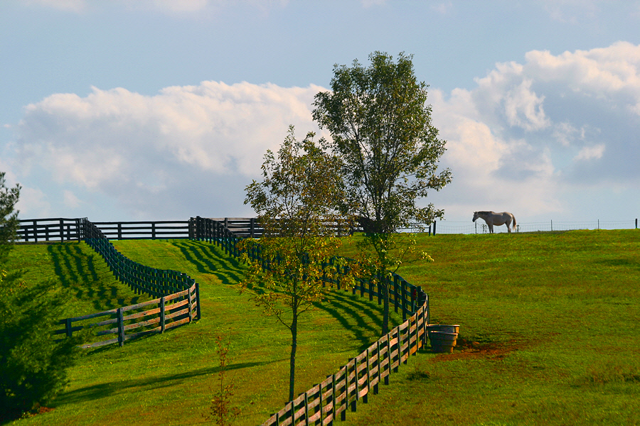 Once upon a Hilltop ...