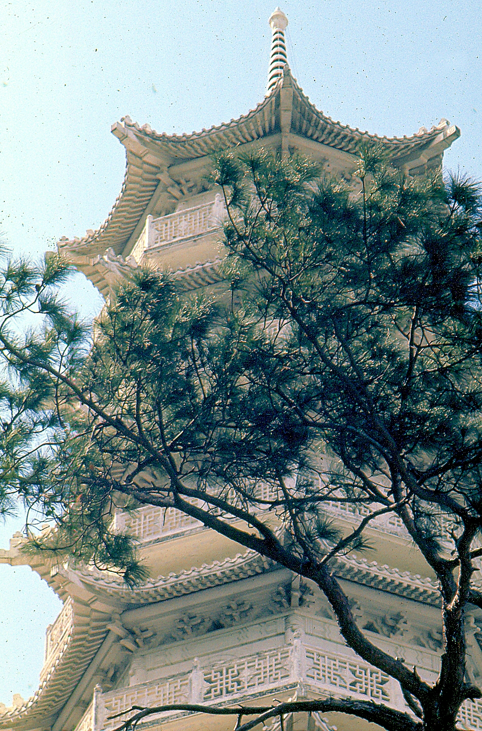 Tiger Pagoda