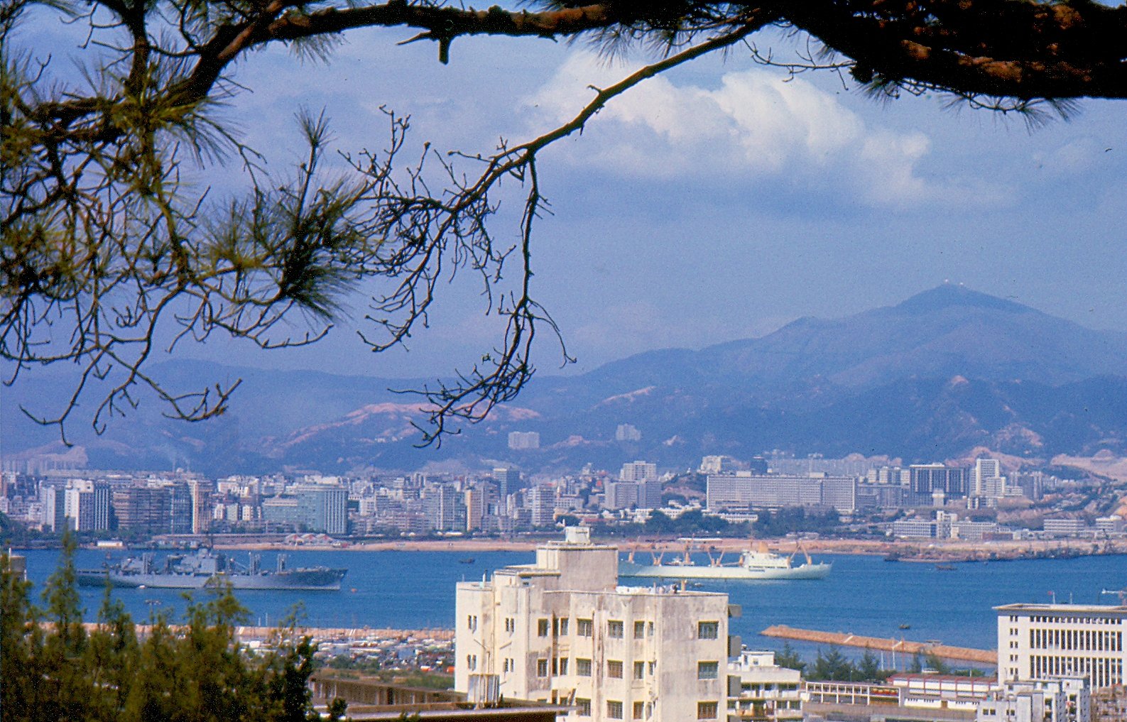 Victoria Harbor