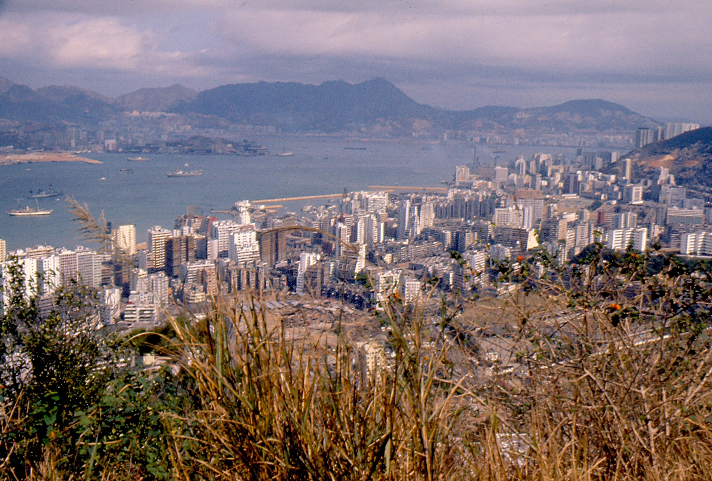 Victoria Harbor
