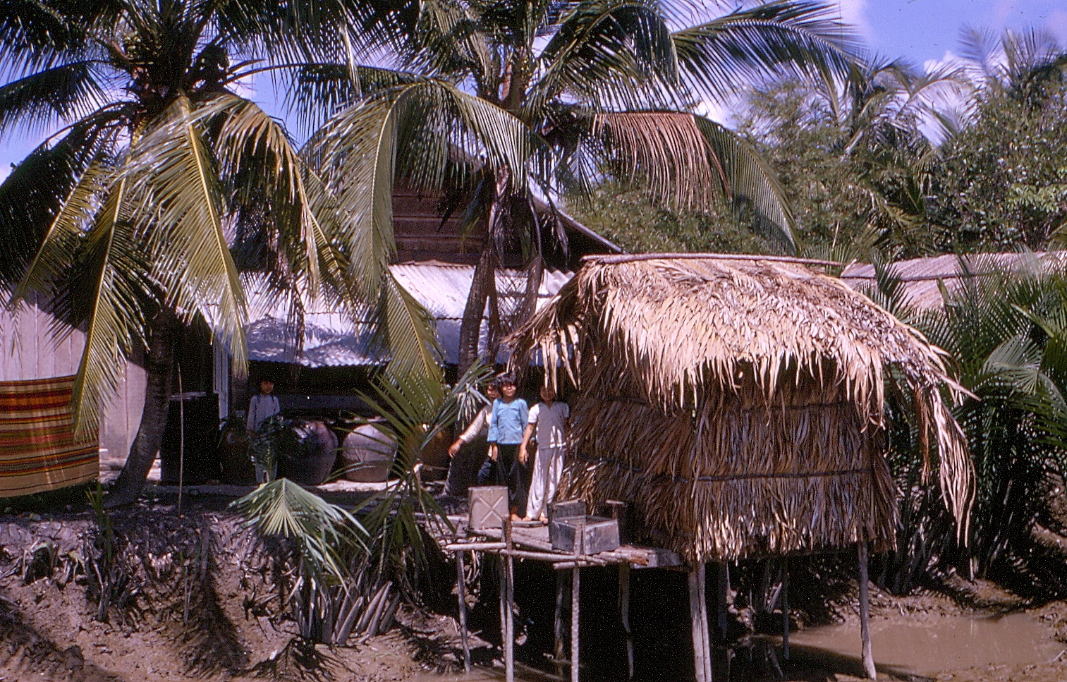 A Vietnamese  Village in the Mekong Delta