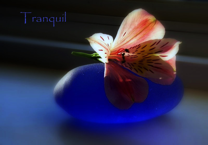 Tranquil