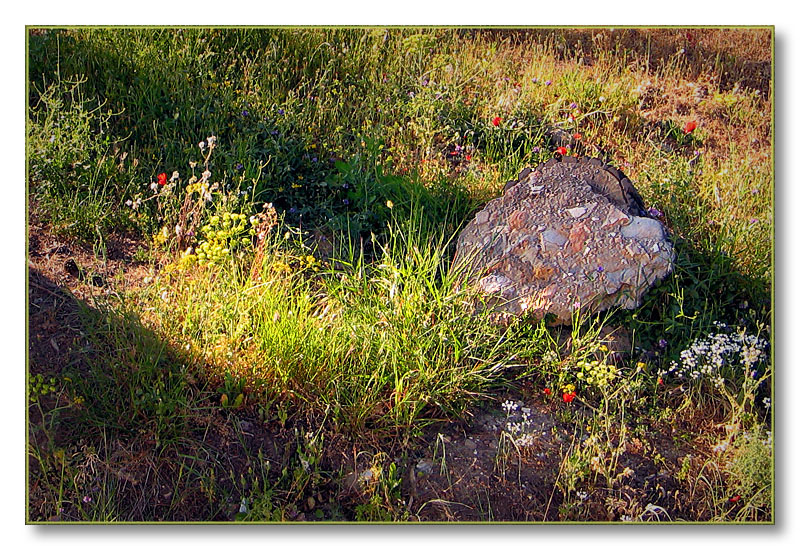 Heart of stone with flowers - Petros Labrakos