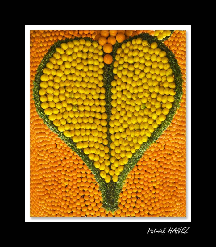 Patrick Hanez - Les Citrons de Menton...